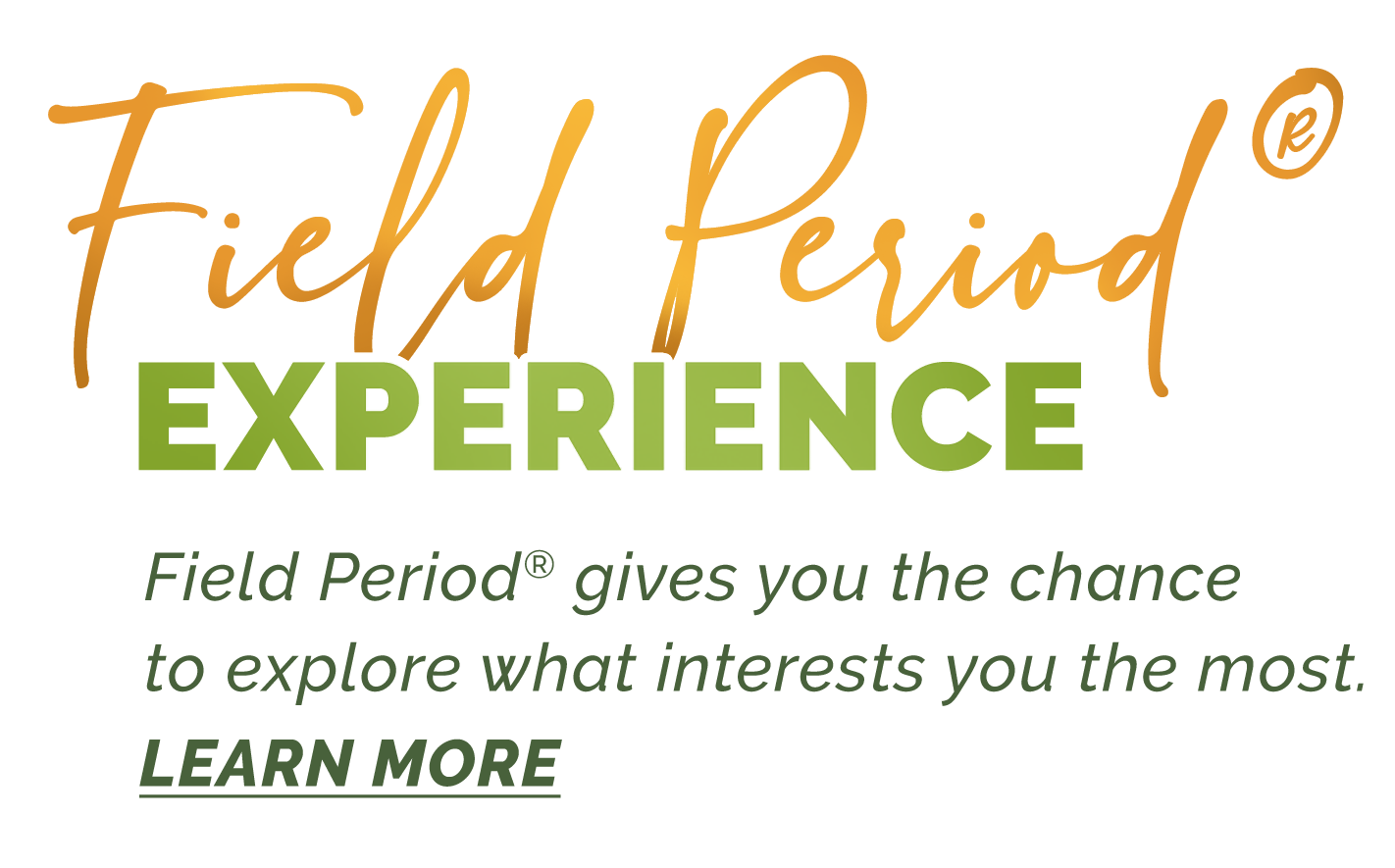 Field Period Experience: Field Period gives you the chance to explore what interests you the most. Use this link to learn more.